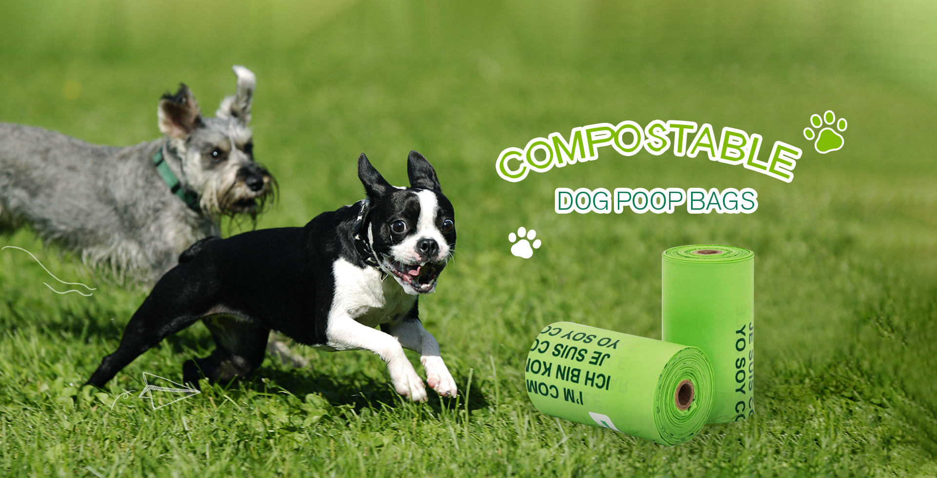 chất lượng Các túi rác phân hủy nhà máy sản xuất