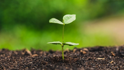 Tin tức công ty mới nhất về Úc Cảnh Báo: Nhãn Mác 