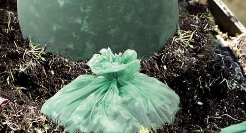 Tin tức công ty mới nhất về Túi nhựa phân hủy sinh học có phân hủy sinh học không? Vạch trần những lầm tưởng